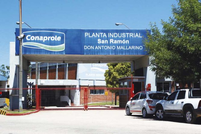 Plaga bíblica